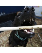Drumsticks Signature